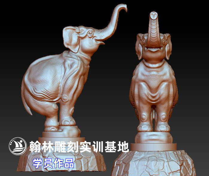 小象.jpg