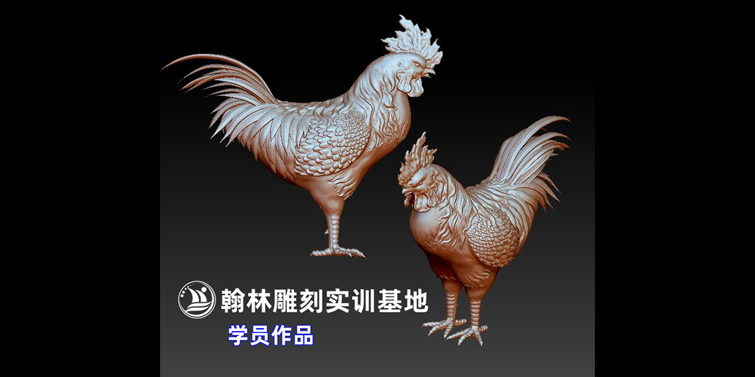 公鸡