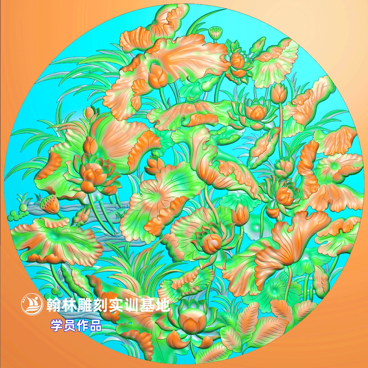 156荷花.jpg